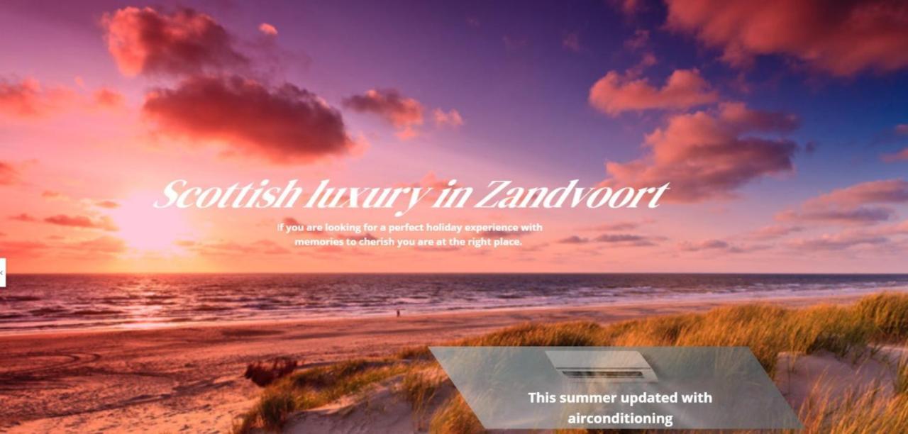 Scottish Thistle Zandvoort Luaran gambar