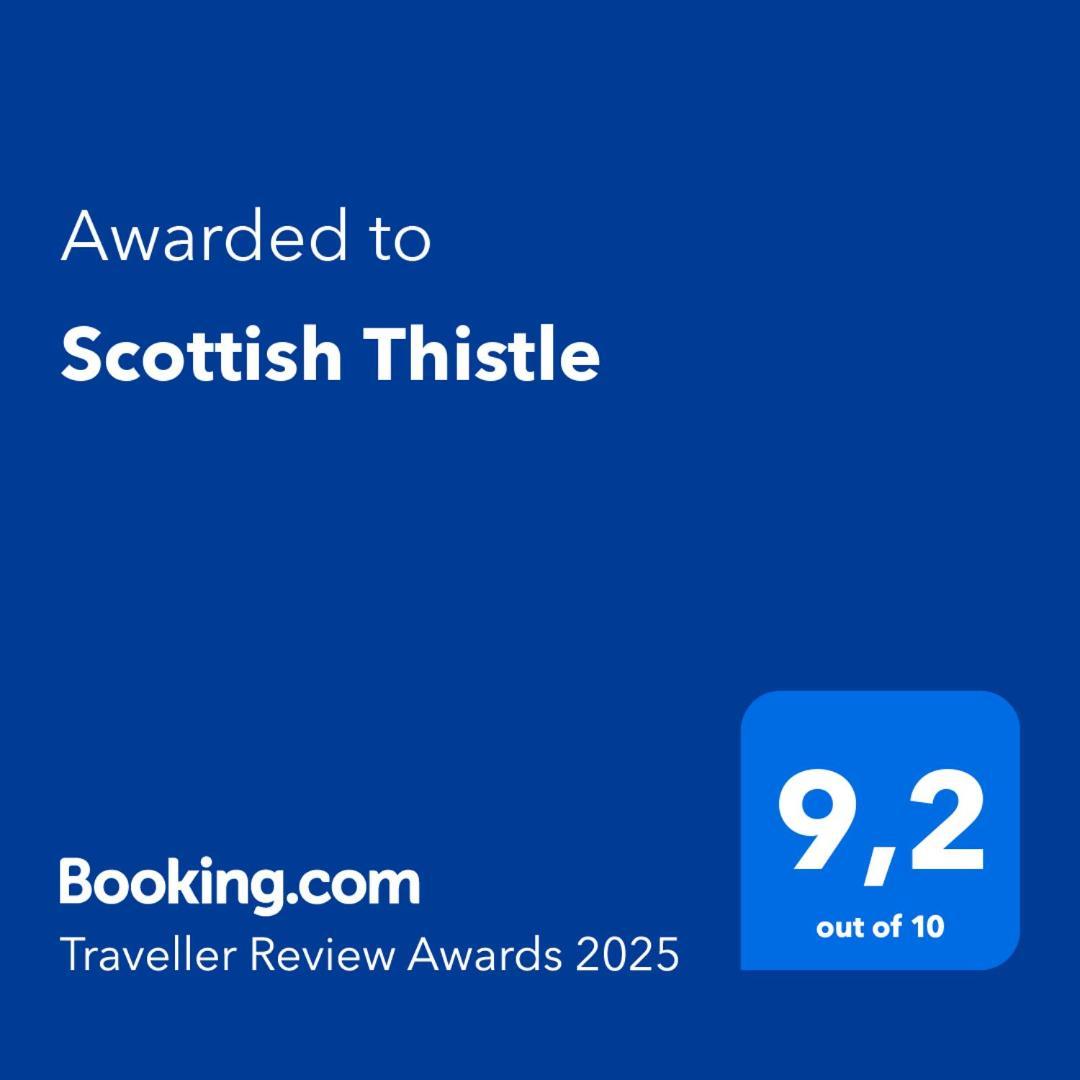Scottish Thistle Zandvoort Luaran gambar